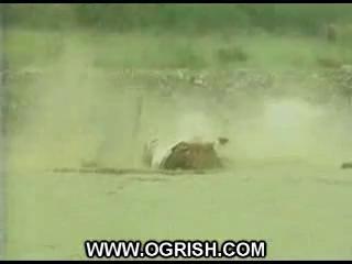 Ogrish Tv