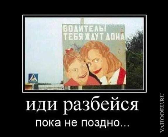 1258971102_041.jpg