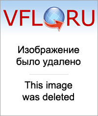 15453929.jpg