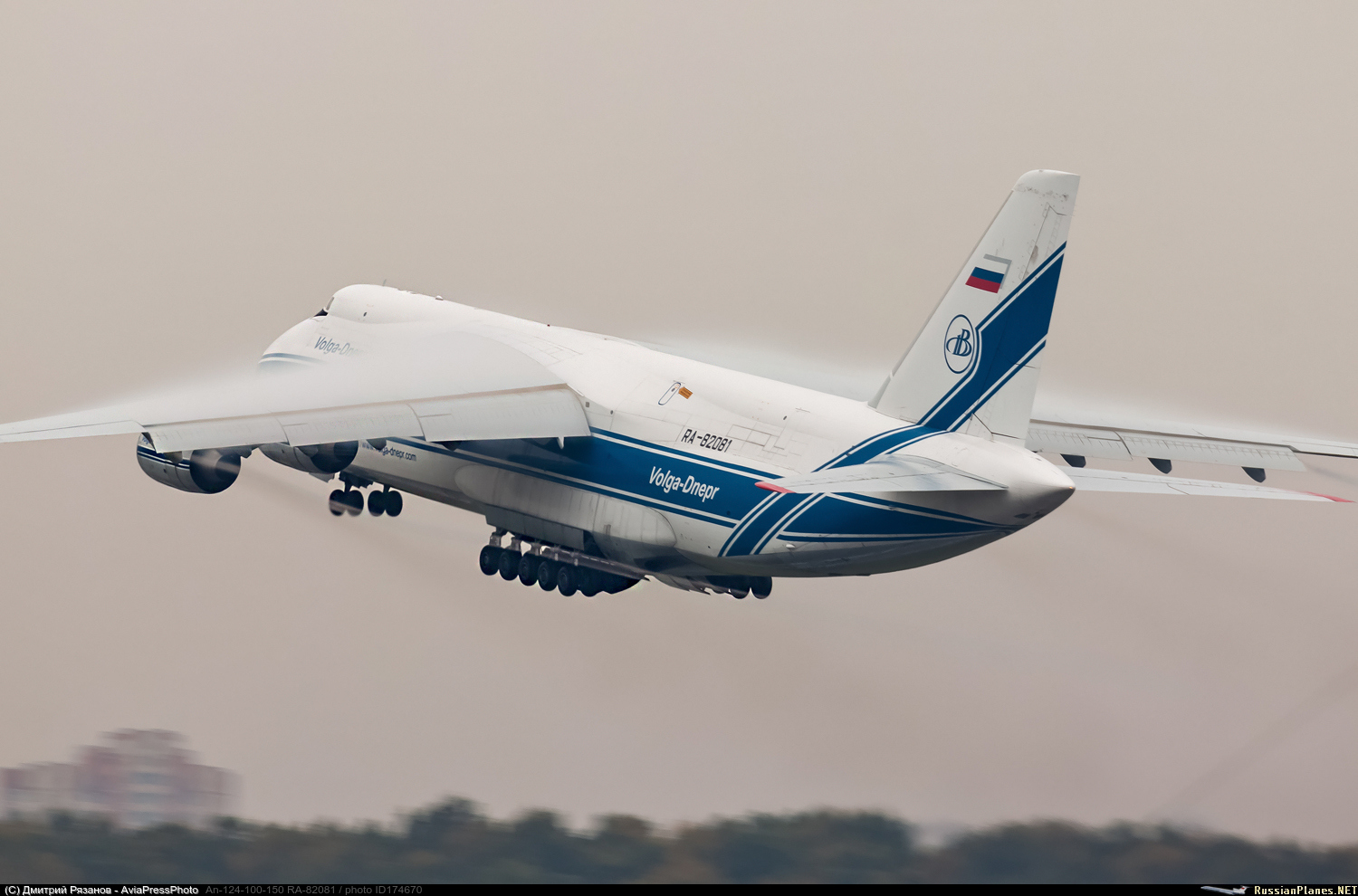 174670.jpg