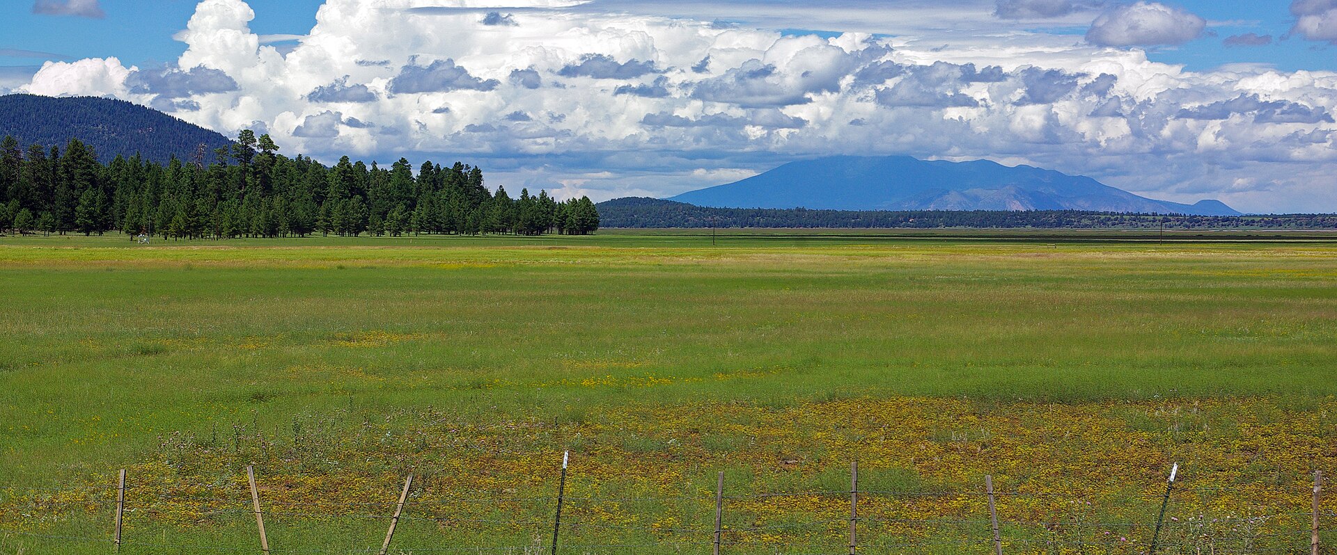 1920px-Peaks_from_Mormon_Lake.jpg