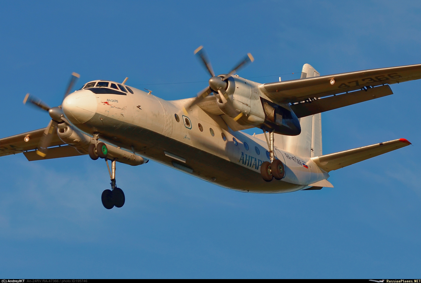 195746.jpg