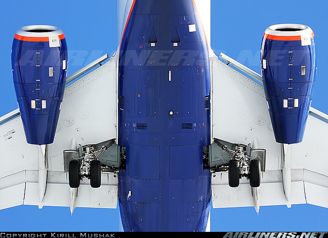 2235086.jpg