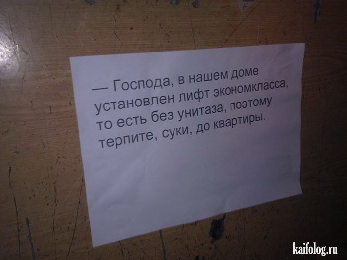 4a6051355d11ca5fcb9ec4aee7e.jpg