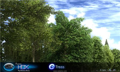 55c7979b211dt.jpg