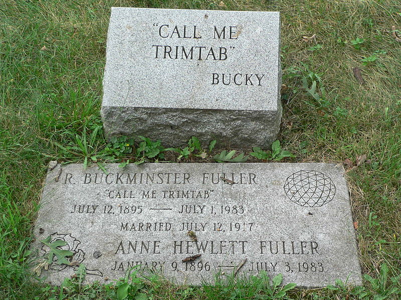 800px-Bucky_TRIMTAB.jpg