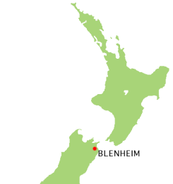 Blenheim.png