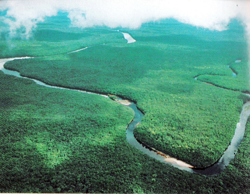 Deltaorinoco.jpg