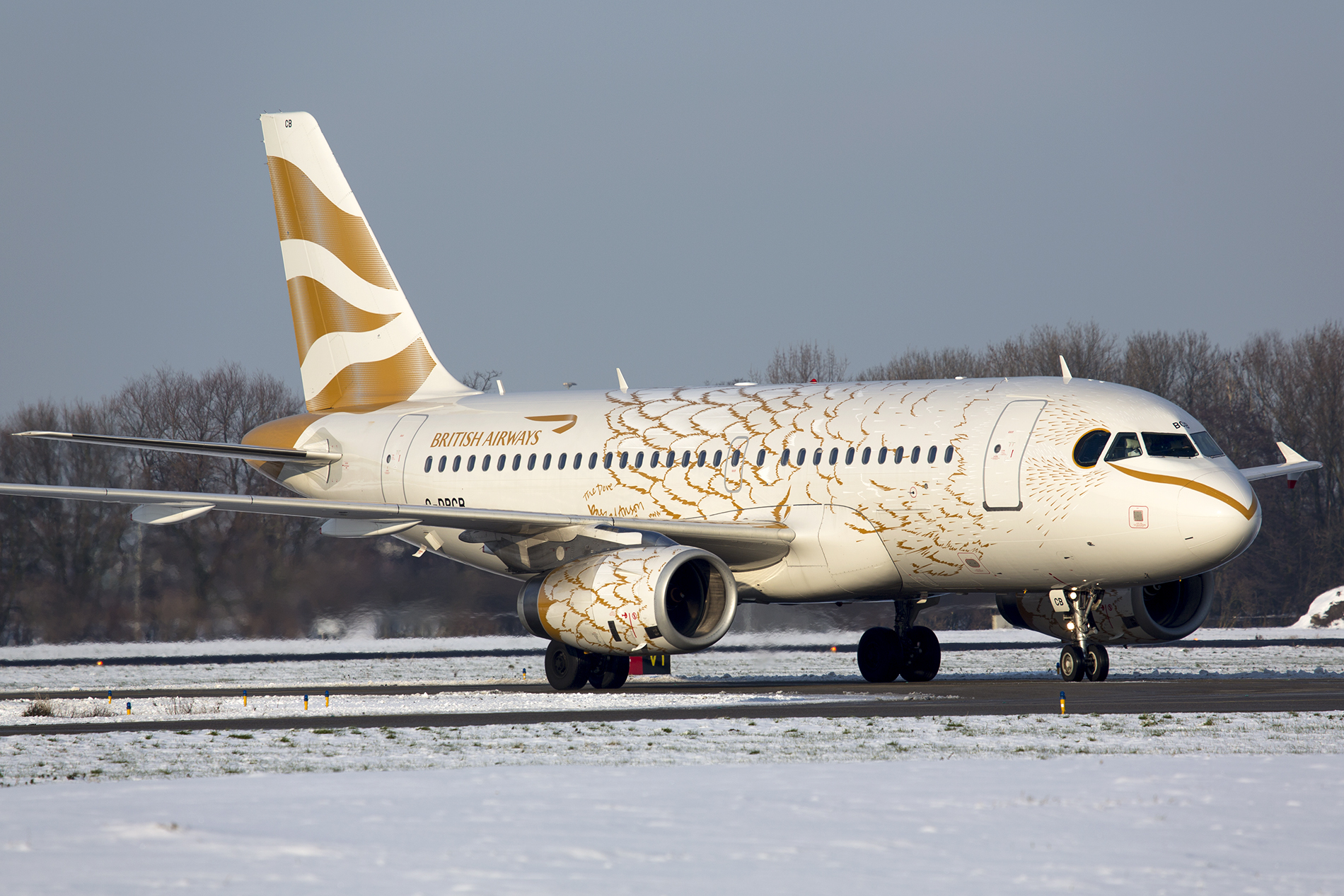 G-DBCB_A319_British_Airways_in_Golden_Do