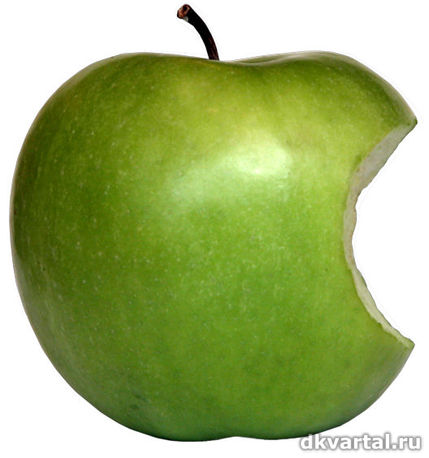 117_x_large.jpg