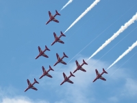arrows_230614_04.jpg