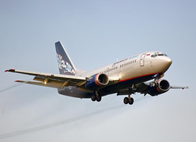 737_2.jpg
