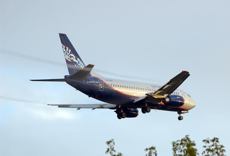 737_1.jpg