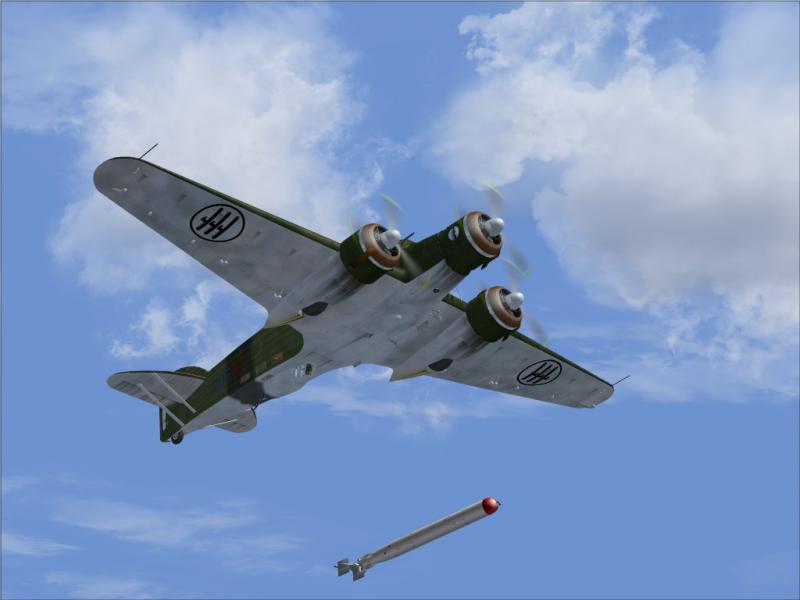 fs9 2010-03-31 18-00-55-46.jpg
