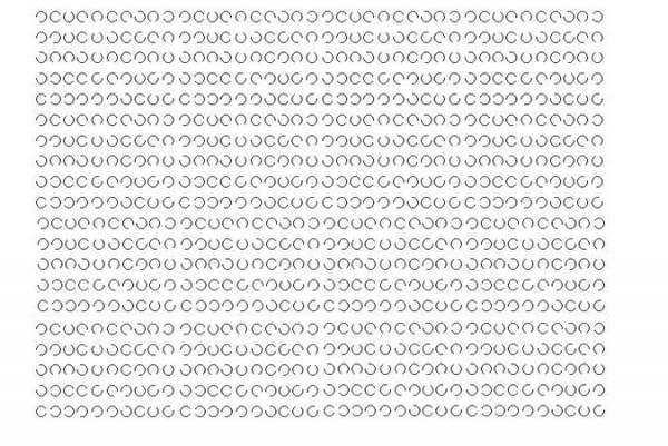 5288059.jpg