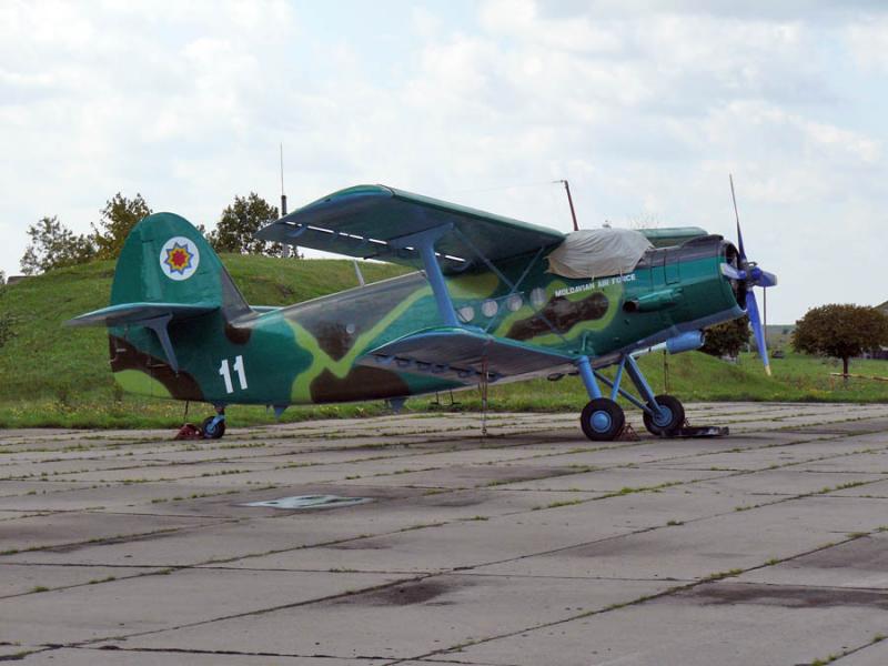 P1000292.JPG